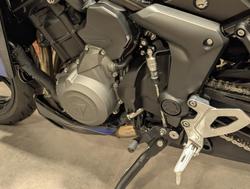 2025 Triumph Tiger Sport 800 Tiger Blue