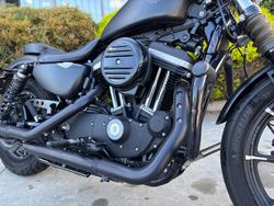 2019 HARLEY-DAVIDSON XL883N IRON 883 Black