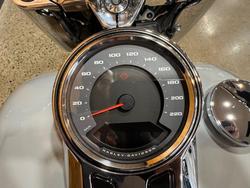 2025 Harley-davidson FLFB FAT BOY (117) Billiard Gray