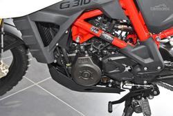 2025 BMW G 310 GS G 310 White