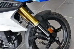 2025 BMW G 310 GS G 310 White