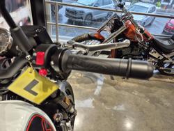 2024 Harley-Davidson X 500 X White