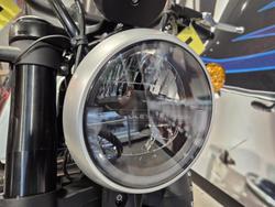 2024 Harley-Davidson X 500 X White