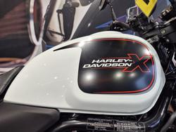 2024 Harley-Davidson X 500 X White