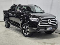 2021 GWM Ute Cannon-X