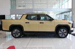 2025 LDV Terron 9 Evolve