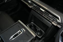 2025 LDV Terron 9 Evolve