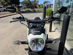 2024 Honda NVA110 NAVI WHITE