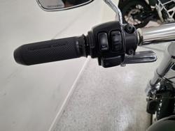 2009 Harley-davidson FXST SOFTAIL STANDARD Black