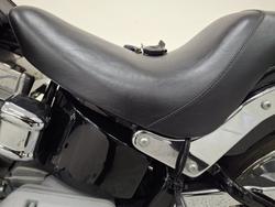 2009 Harley-davidson FXST SOFTAIL STANDARD Black