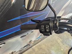 2018 Harley-Davidson Iron 1200 (XL1200NS) Sportster White