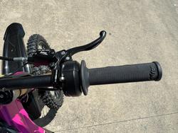 2025 Sur-ron LIGHT BEE X PINK