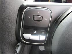 2025 GWM Cannon Vanta