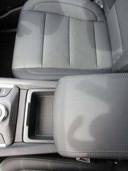 2025 GWM Cannon Vanta