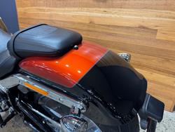 2025 Harley-davidson FLFB FAT BOY (117) Whiskey Fire