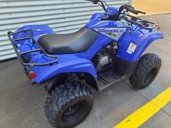 2025 Yamaha Grizzly 110 (YFM110G) Grizzly Blue