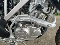 2019 Kawasaki KLX150BF SE WHITE