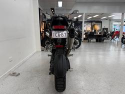 2024 Triumph TIGER 1200 RALLY PRO MATT KHAKI GREEN