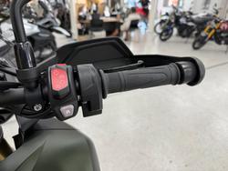 2024 Triumph TIGER 1200 RALLY PRO MATT KHAKI GREEN