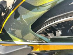 2021 Kawasaki Z900RS (ZR900C) GREEN