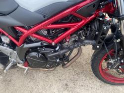 2022 Suzuki SV650 RED/WHITE