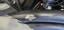 2014 Harley-davidson FLSTFB FAT BOY LO Black