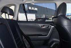 2019 Toyota RAV4 Cruiser