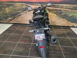 2024 Kawasaki 2024 Kawasaki 1000CC NINJA 1000 GREEN