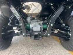 2025 Kawasaki MULE PRO-DX GREEN