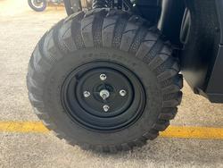 2025 Kawasaki MULE PRO-DX GREEN