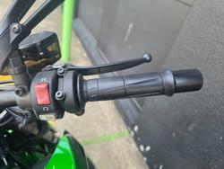 2025 Kawasaki Z1000 GREY