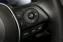 2024 Toyota RAV4 Cruiser