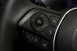 2024 Toyota RAV4 Cruiser