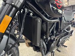 2024 Harley-Davidson X 500 X Black