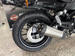 2024 Harley-Davidson X 500 X Black