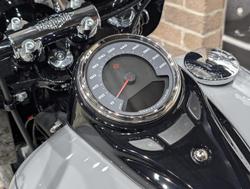 2025 Harley-Davidson Heritage Classic 117 (FLHC) Softail