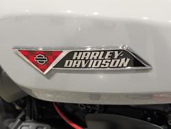 2025 Harley-Davidson Sportster S (RH1250S) Sportster