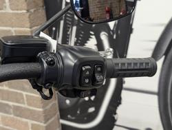 2025 Harley-Davidson Street Bob 117 (FXBB) Softail Black