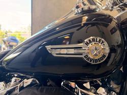 Harley-Davidson FLFBS Fat Boy S (114)