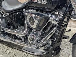 2025 Harley-Davidson Fat Boy 117 (FLFB) Softail Black