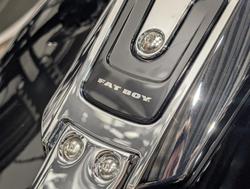 2025 Harley-Davidson Fat Boy 117 (FLFB) Softail Black