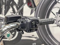 2025 Harley-Davidson Fat Boy 117 (FLFB) Softail Black