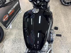 2025 Harley-Davidson Street Bob 117 (FXBB) Softail Black