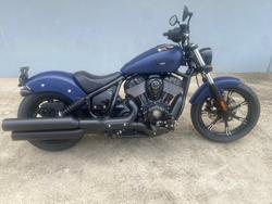 Indian Chief Dark Horse