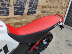 2024 DUCATI DESERT X RALLY DUAL PURPOSE BIANCO TRICOLOR