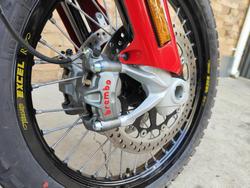 2024 DUCATI DESERT X RALLY DUAL PURPOSE BIANCO TRICOLOR