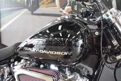 2025 Harley-davidson FXBR BREAKOUT (117) VIVID BLACK