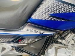 Yamaha 2008 Yamaha 225CC Scorpio Blue