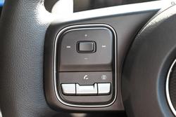 2025 GWM Cannon Vanta