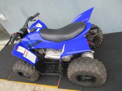 2025 Yamaha YFZ50 BLUE
